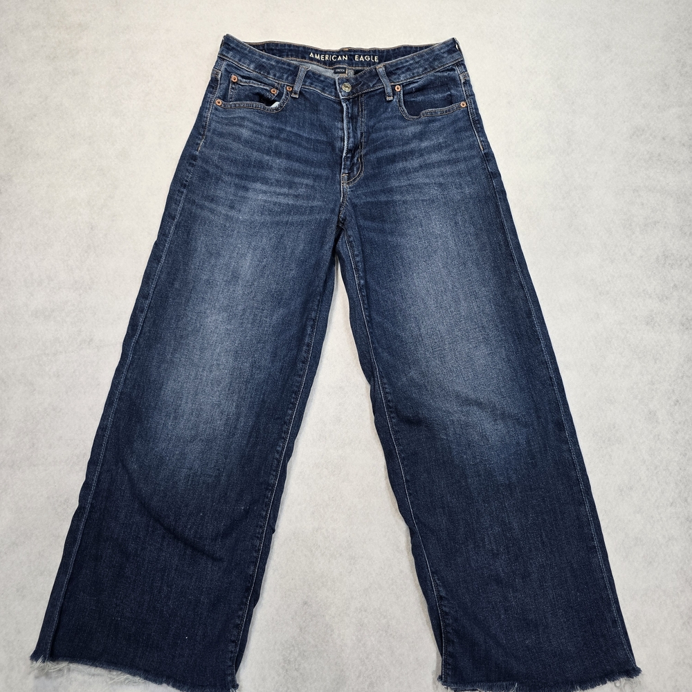 American Eagle Outfitters Low Rise Baggy Wide Leg Denim Jeans Size 8